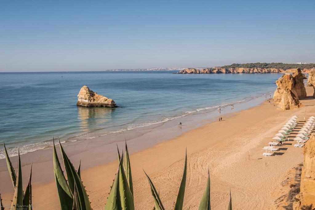 Apartamento Vista Mar 8E