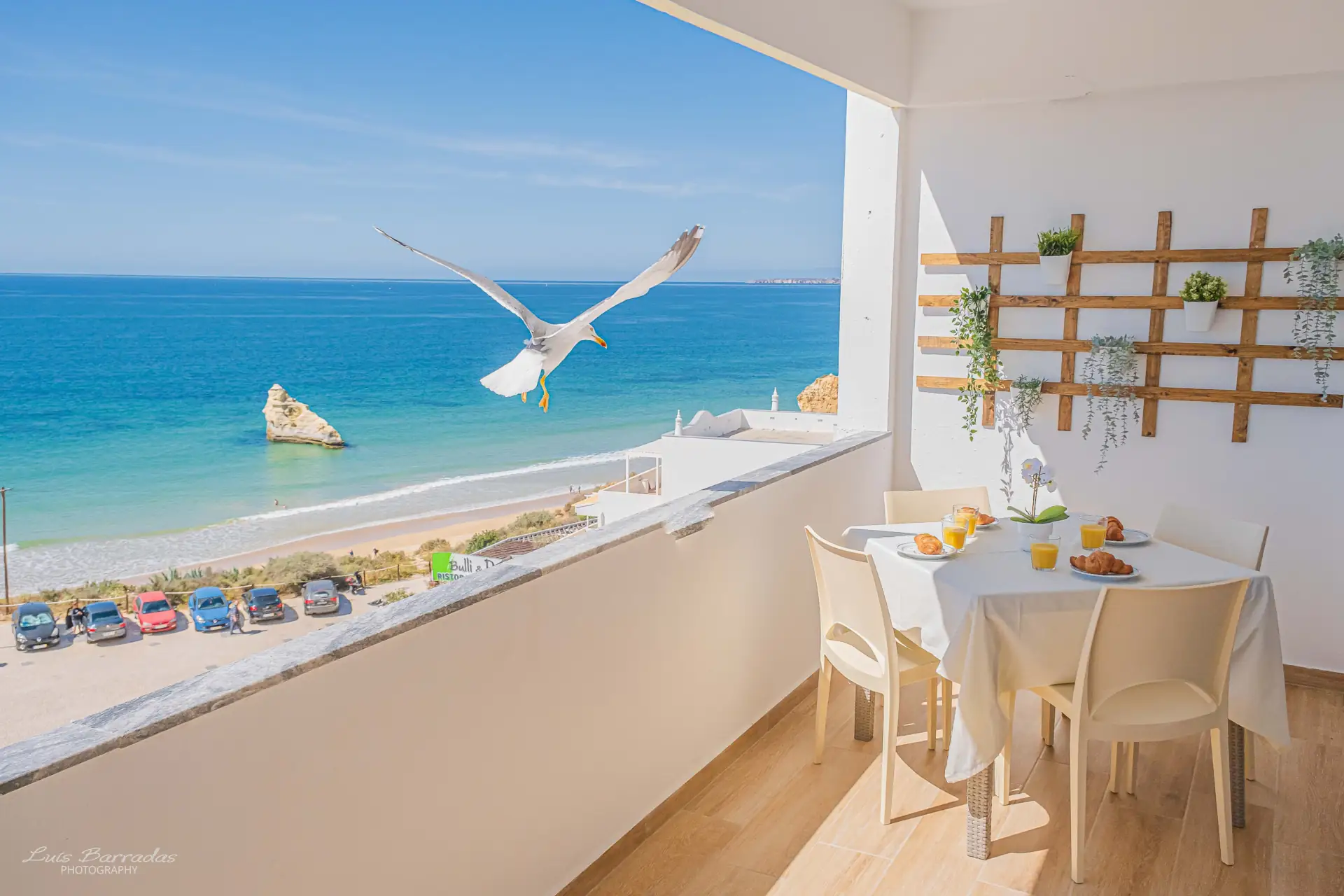 Arquitetura e paisagem do Algarve